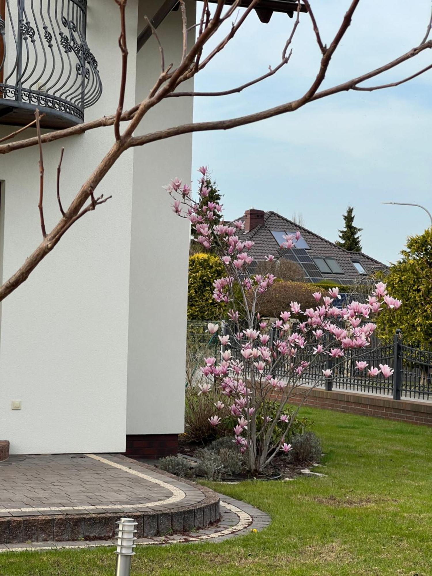 Apartamenty Bursztynowe Dębki Extérieur photo